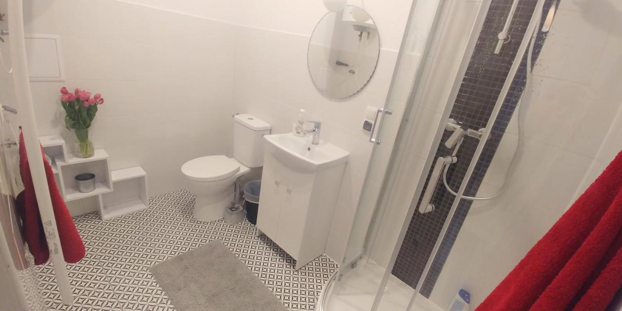 Appartamento Apartament Jedlinka Jedlina-Zdroj Esterno foto