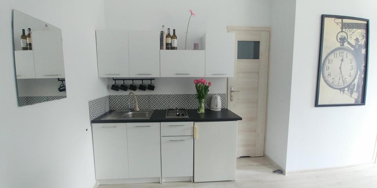 Appartamento Apartament Jedlinka Jedlina-Zdroj Esterno foto