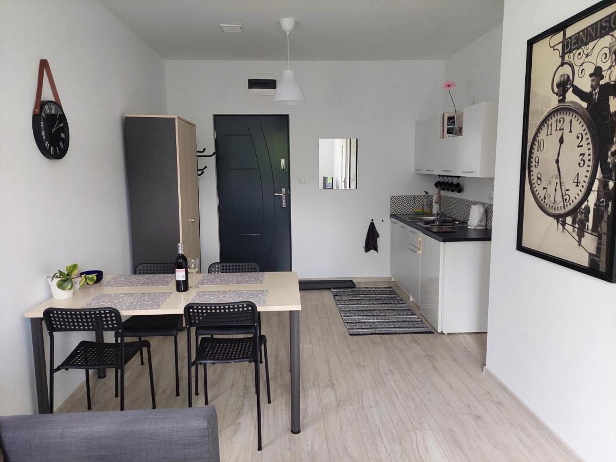 Appartamento Apartament Jedlinka Jedlina-Zdroj Esterno foto